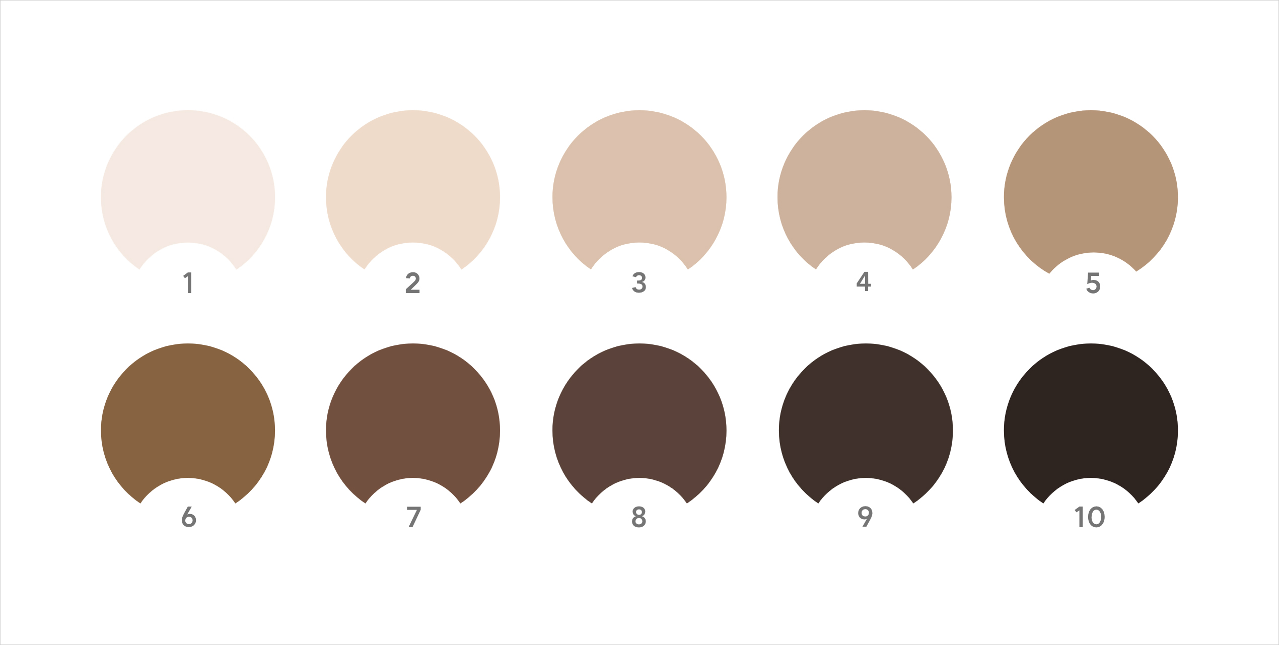 Massey-Martin Skin Color Scale, a series of shades from 1 to 10, 10 being darkest.